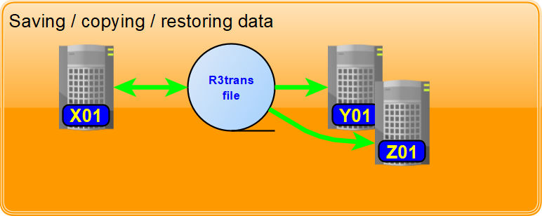 SAP data backup with R3trans