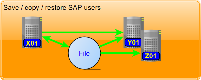 Copying / saving SAP users