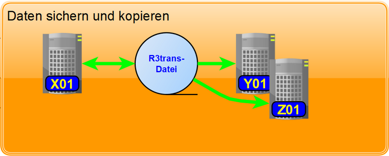 SAP Datensicherung mit R3trans